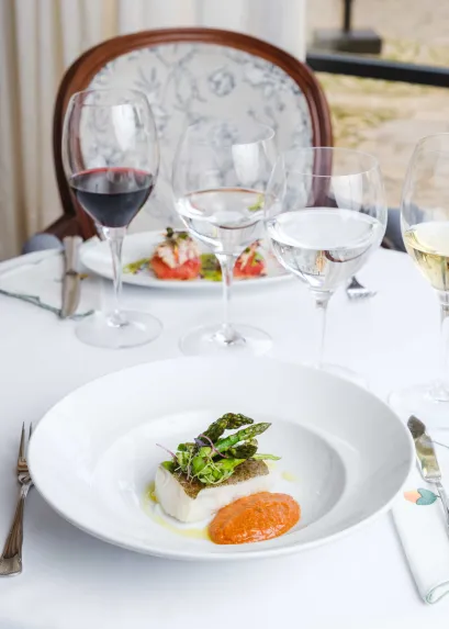 Gastronomy