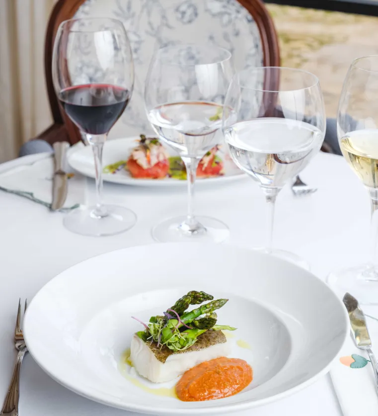 Gastronomy