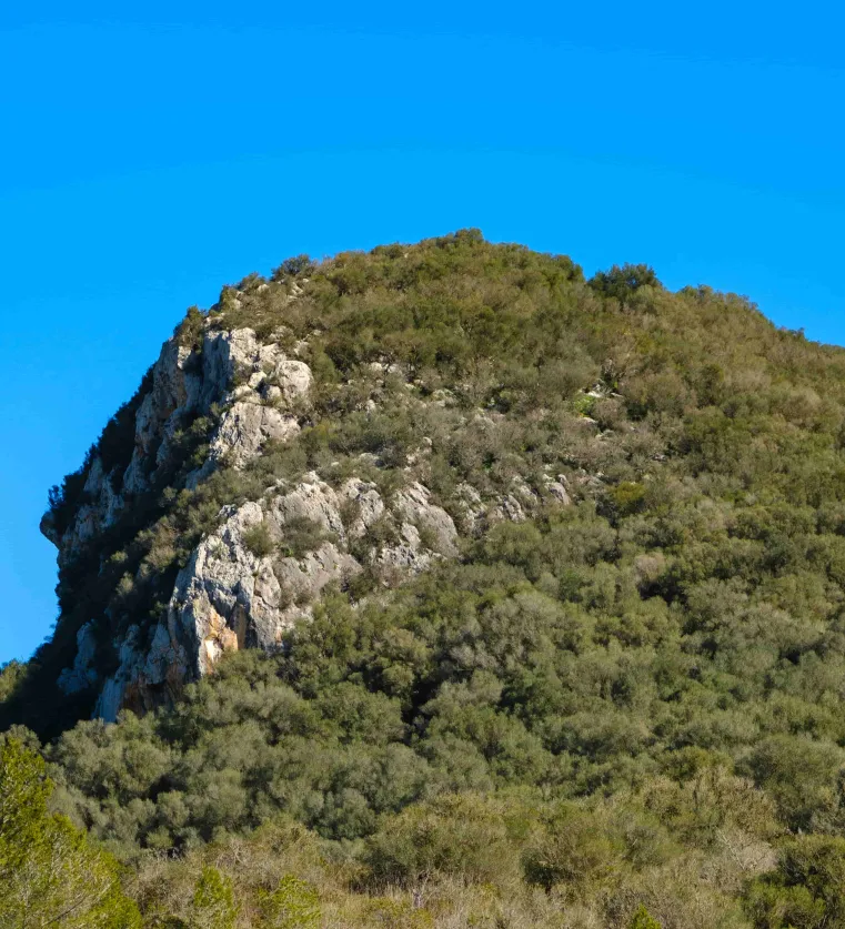 Hiking